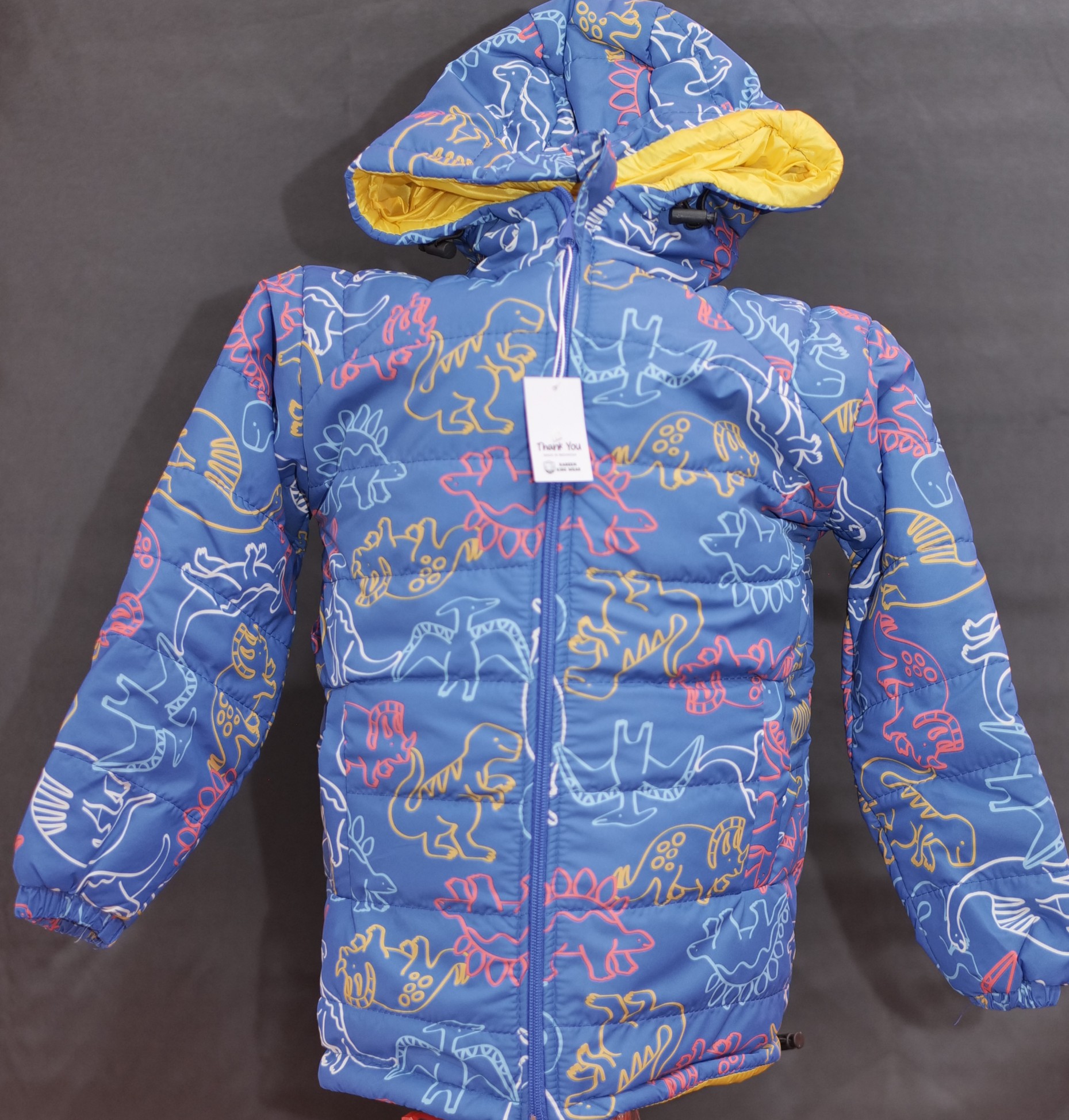 Jaket anak motif dinosaurus